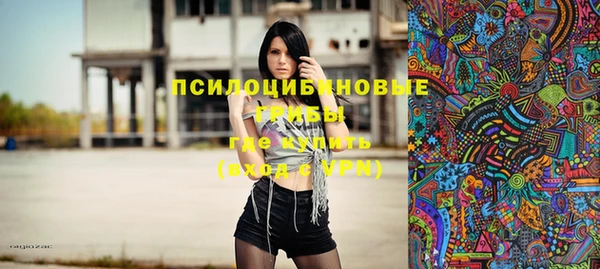 apvp Верхний Тагил