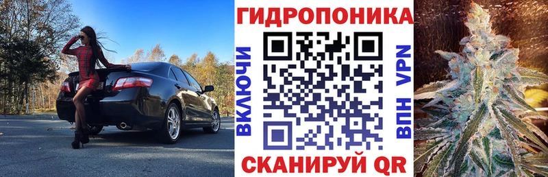 наркотики  Новоржев  МАРИХУАНА Ganja 